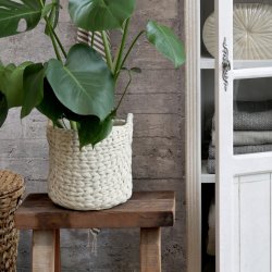 Blomsterskjuler i cement