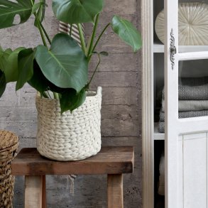 Blomsterskjuler i cement