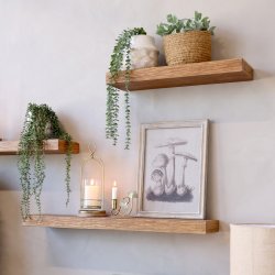 Svvehylder tr, 2 lngder