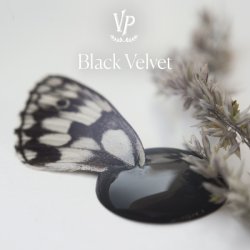 Black Velvet