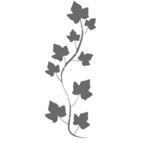 Skabelon Ahorn 30x10 cm