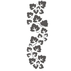 Skabelon Efeu 30x11 cm