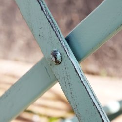 Cafes�t Antique Verte