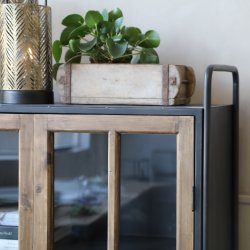 Vitrineskab med 2 lger i trramme