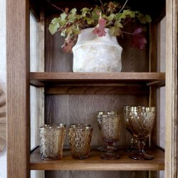 Natur vitrineskab med 2 lger